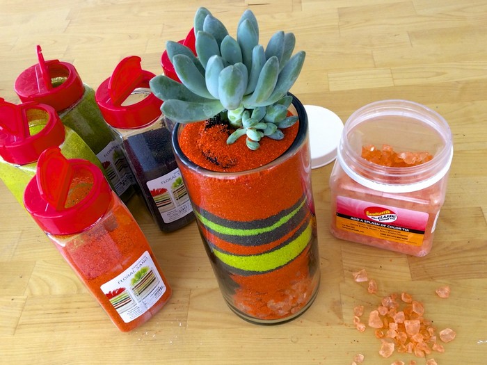 How to make a Desktop Succulent Garden 10